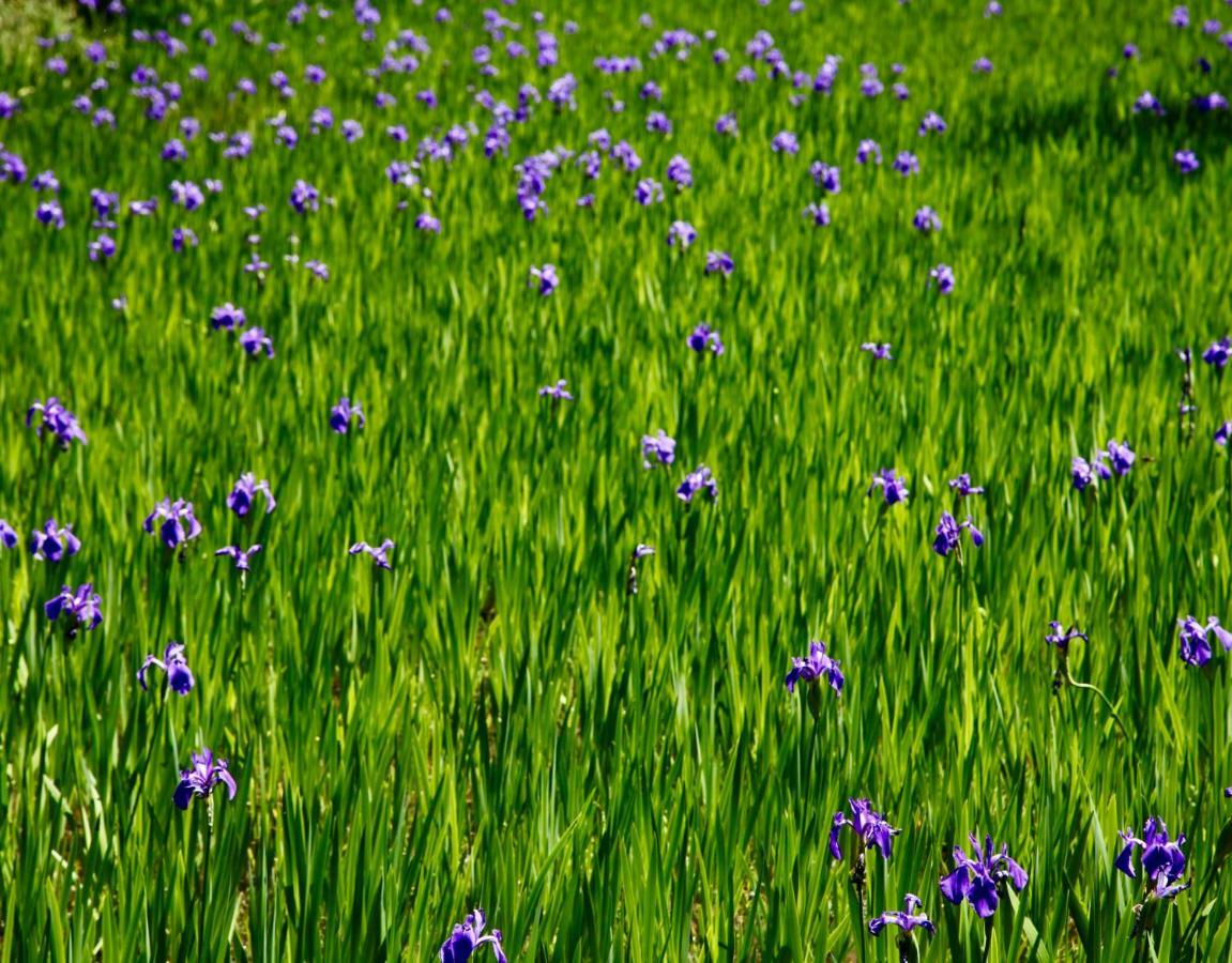 Gallery Nozawa Inn Kyoto Eksteriør bilde